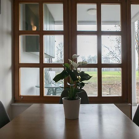 Apartma Spelca Banovci Kültér fotó